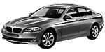BMW F10 B225E Fault Code